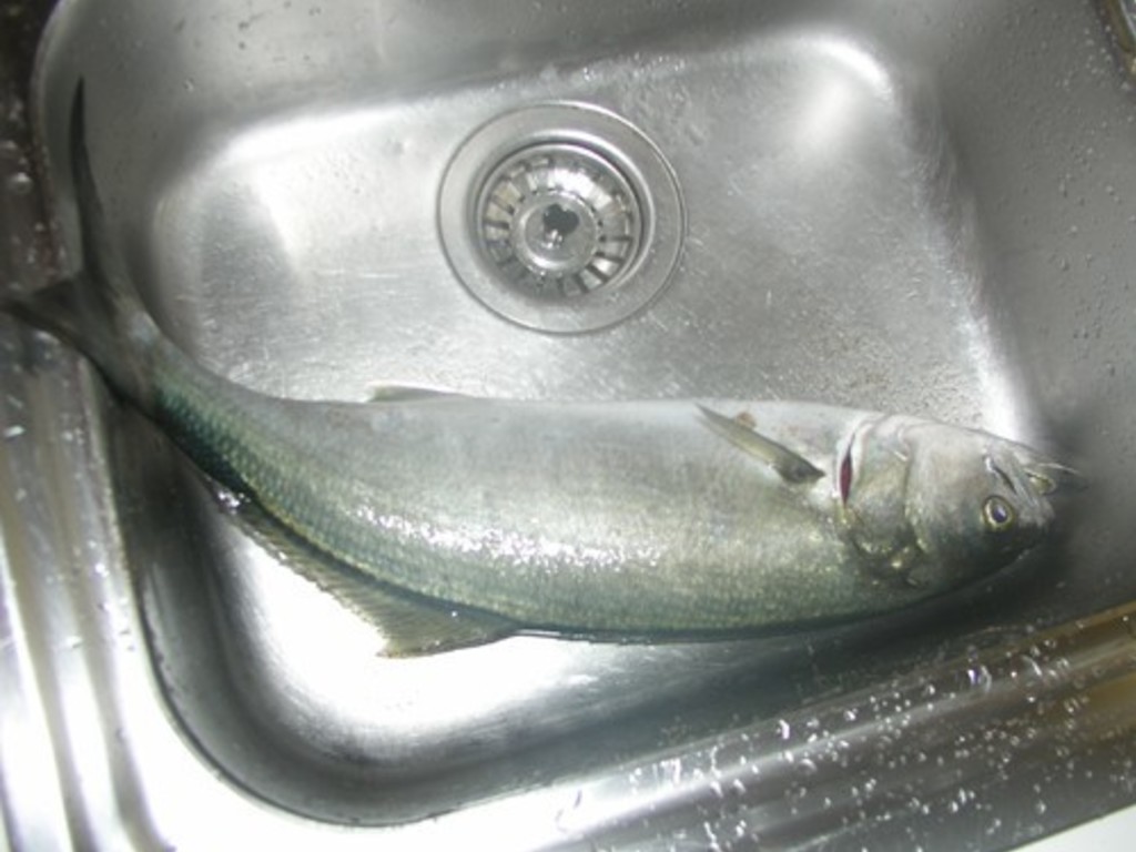 Pesce: squamarlo facilmente