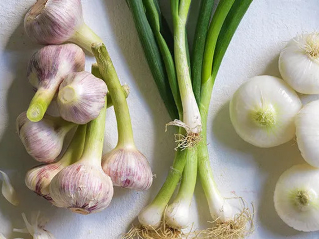I top 5 alimenti più ricchi di prebiotici