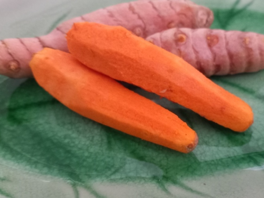 Curcuma,  conosciamola meglio