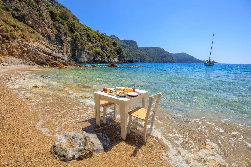Vacanze anche in cucina 2024