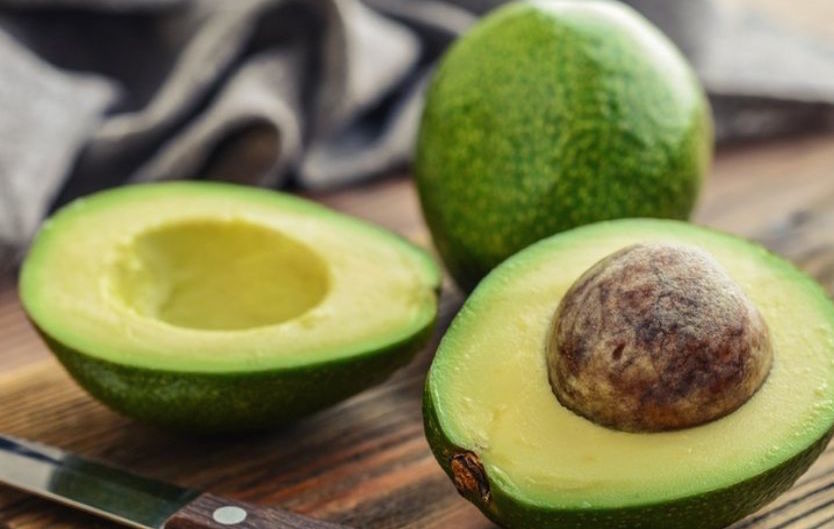 Avocado sempreverde
