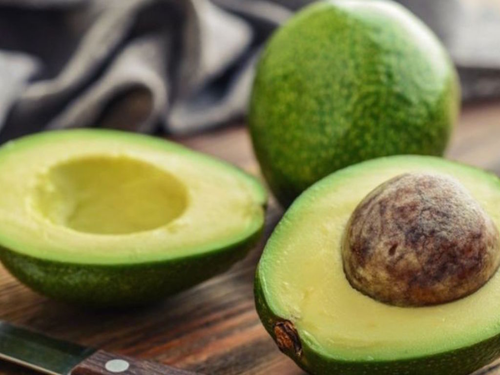 Avocado sempreverde