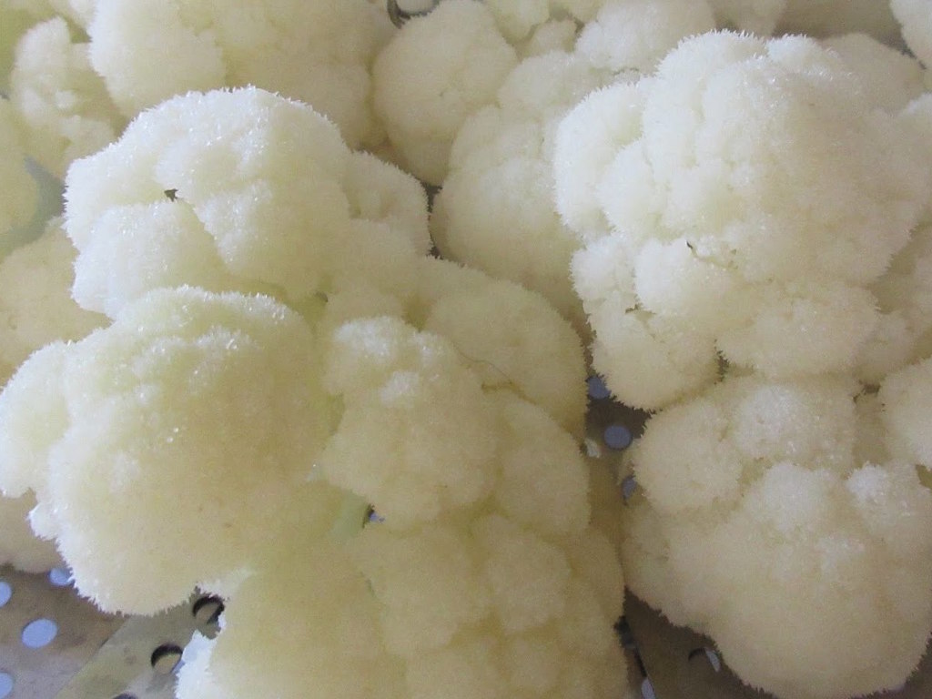 Cavolfiore Immacolato