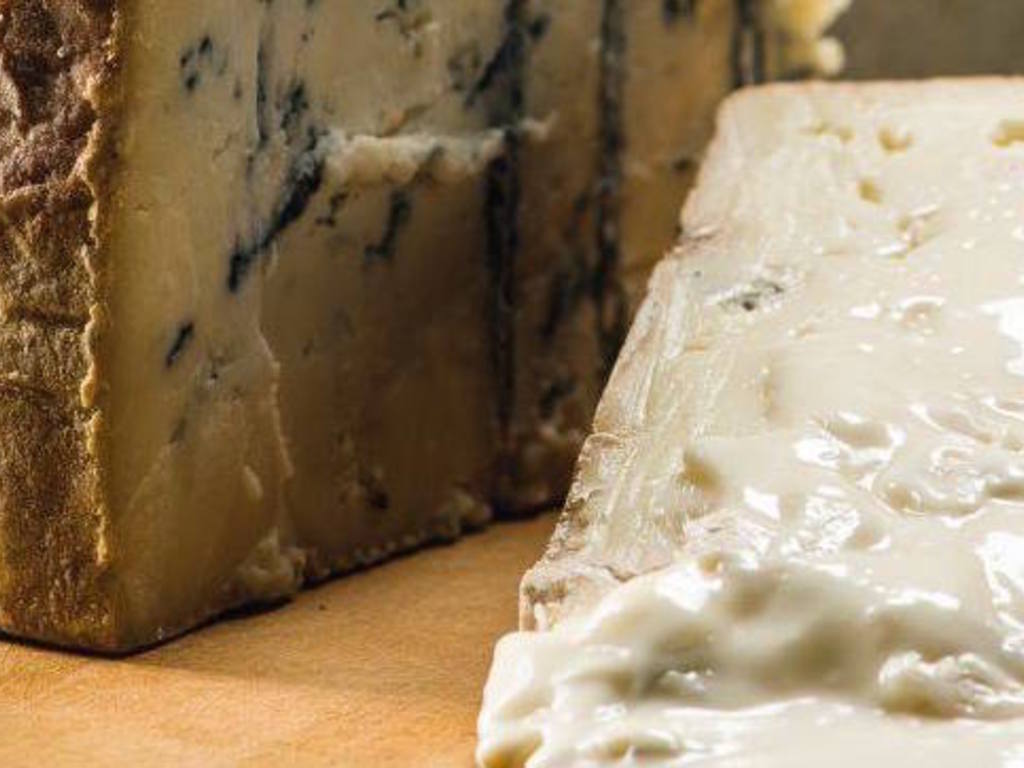 La sagra nazionale del Gorgonzola