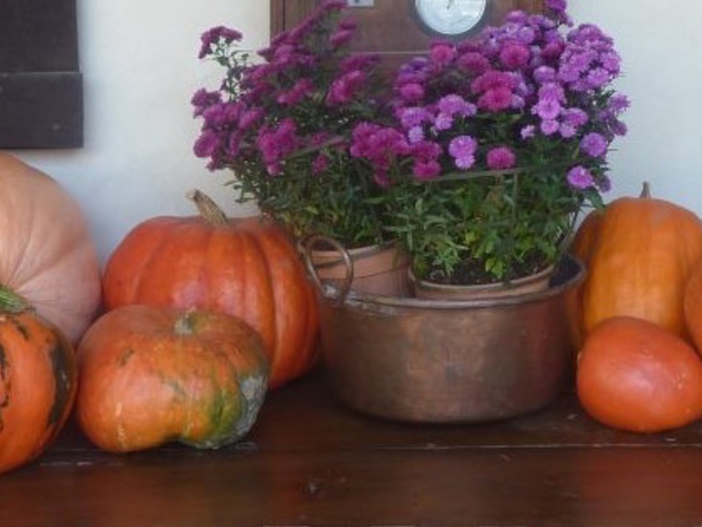 La zucca per Halloween