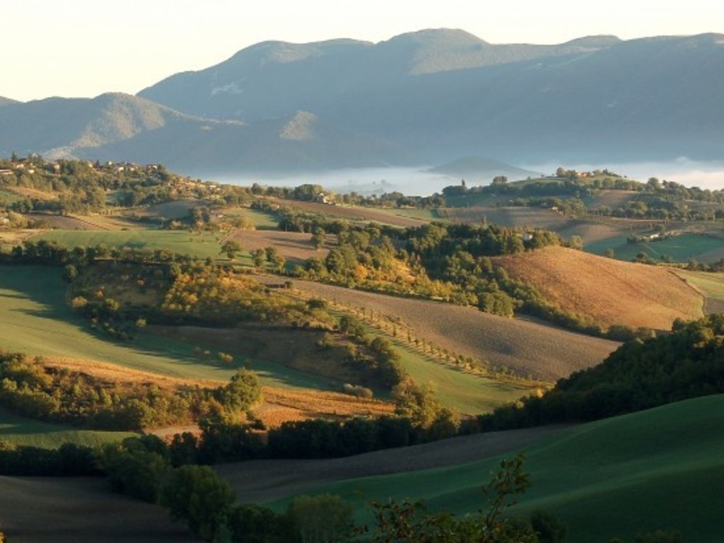 La cucina delle Marche