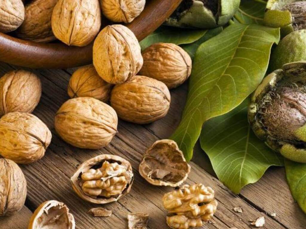Ricette con le noci