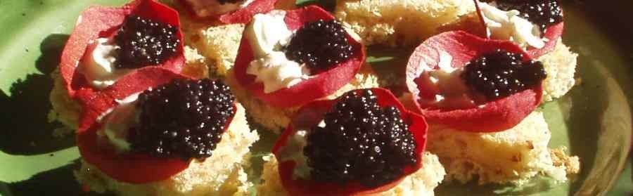 Menu per il Matrimonio: i fingerfood.
