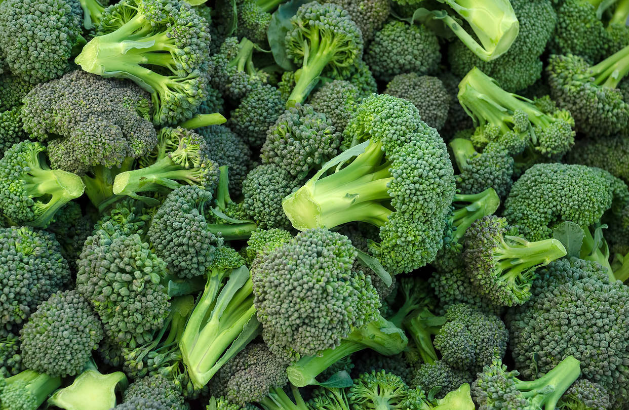Ricette coi broccoli