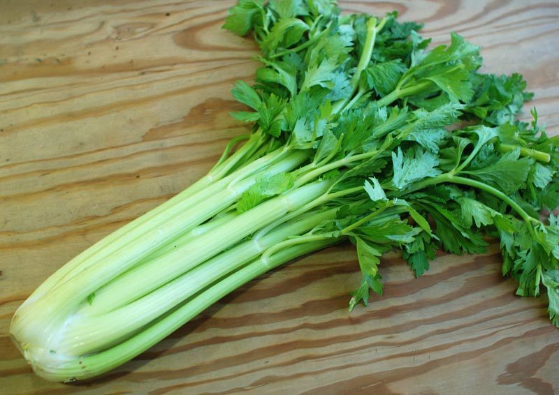 Ricette col sedano