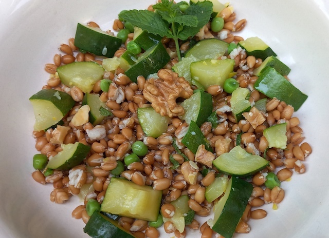 Insalate di farro