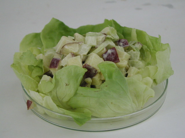 Ricette salate con le mele