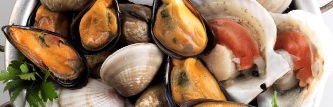 Cozze, Vongole e altri Molluschi