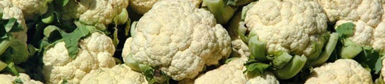 Ricette con cavolfiori
