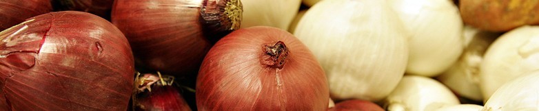 Ricette con cipolle