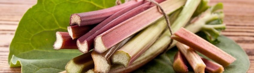 Ricette con il rabarbaro