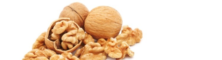 Ricette con le noci