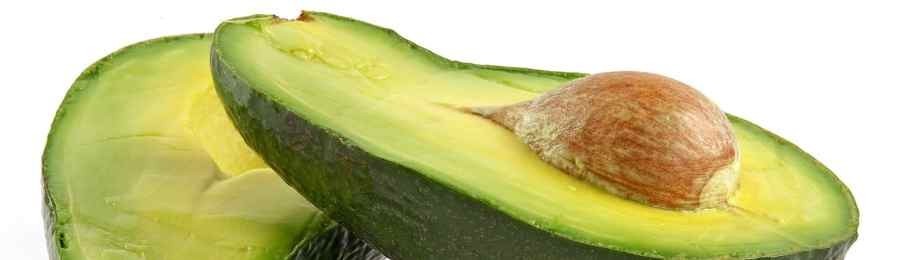 Ricette di Avocado