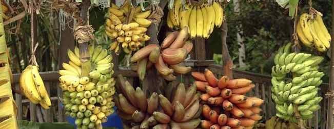 Ricette di banana