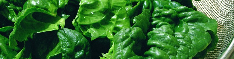 Ricette di spinaci