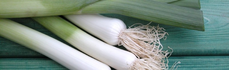 Ricette di porri