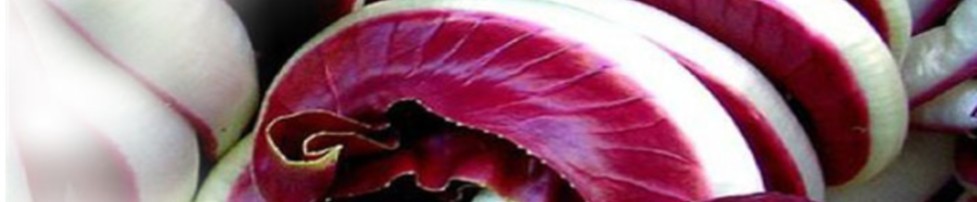 Ricette di radicchio