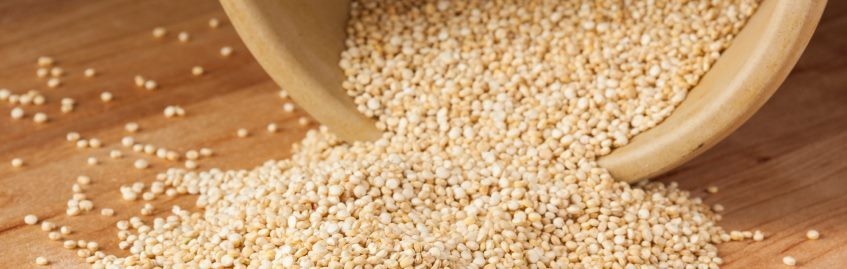Ricette con la quinoa