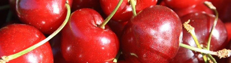 Ricette con ciliegie