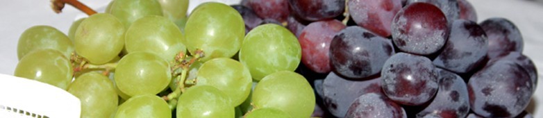 Ricette con l'uva