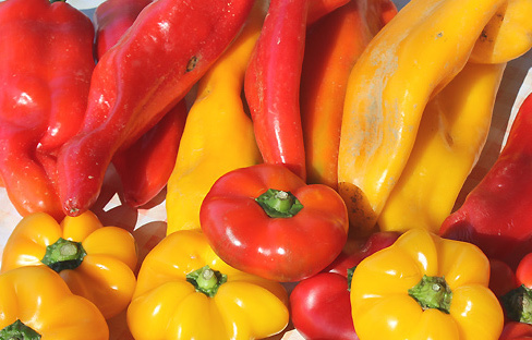 Ricette con peperoni