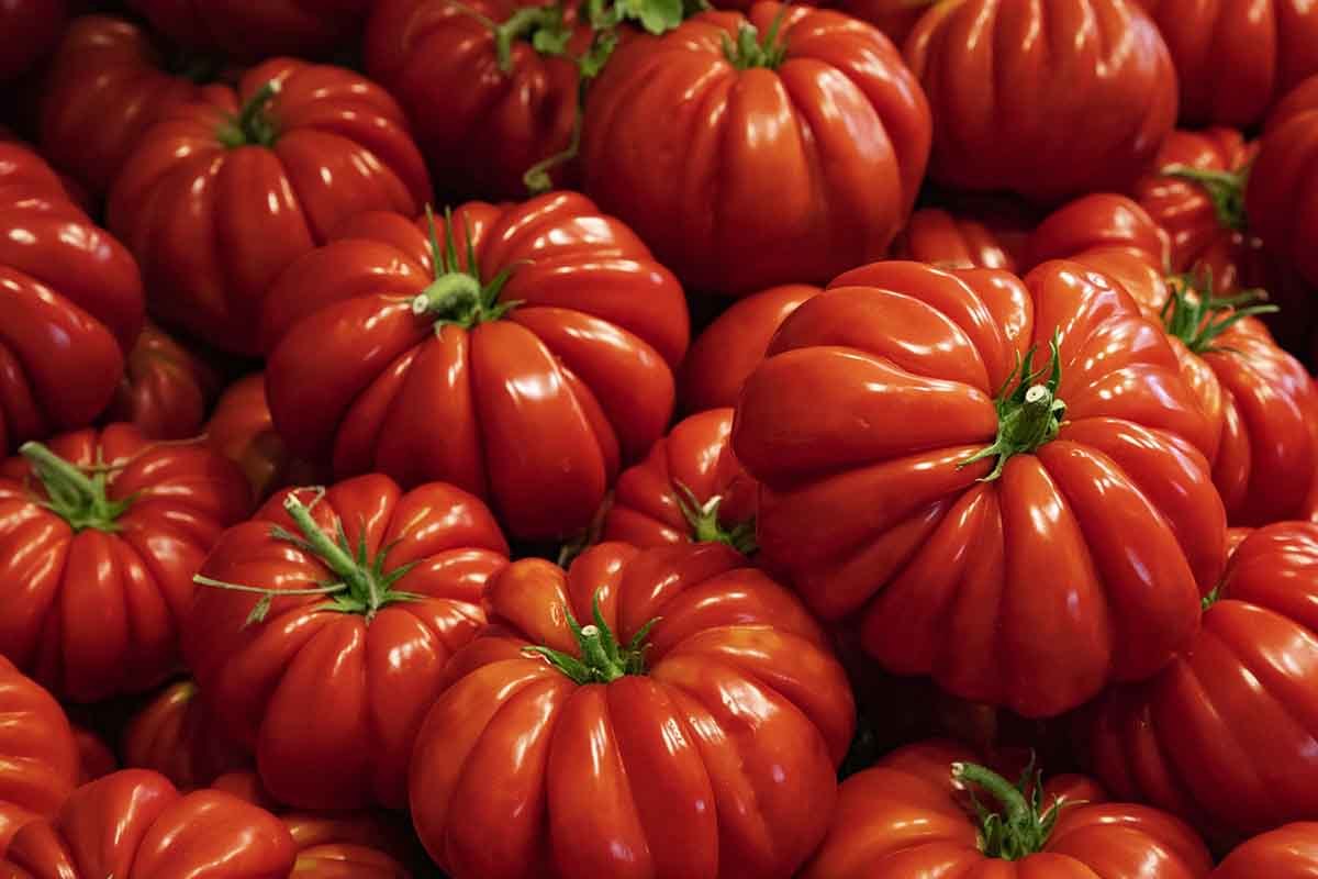Ricette di pomodori
