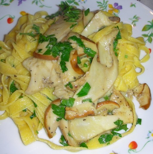 Primi piatti coi funghi