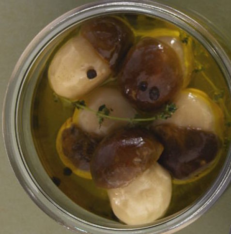 Conserve di funghi