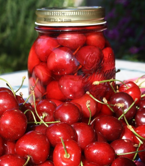 Ricette di conserve, liquori e frullati di ciliegie