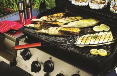 Barbecue a gas									