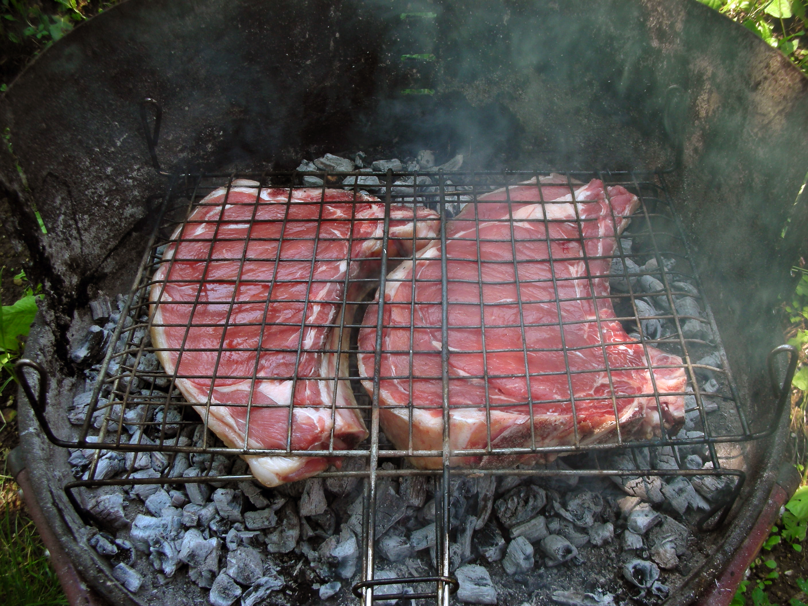 Barbecue: la cottura dei cibi									