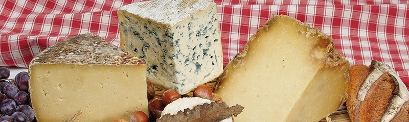 Tagliere di formaggi italiani stagionati									
