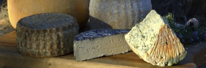 Tagliere di formaggi europei Presidi Slow Food									
