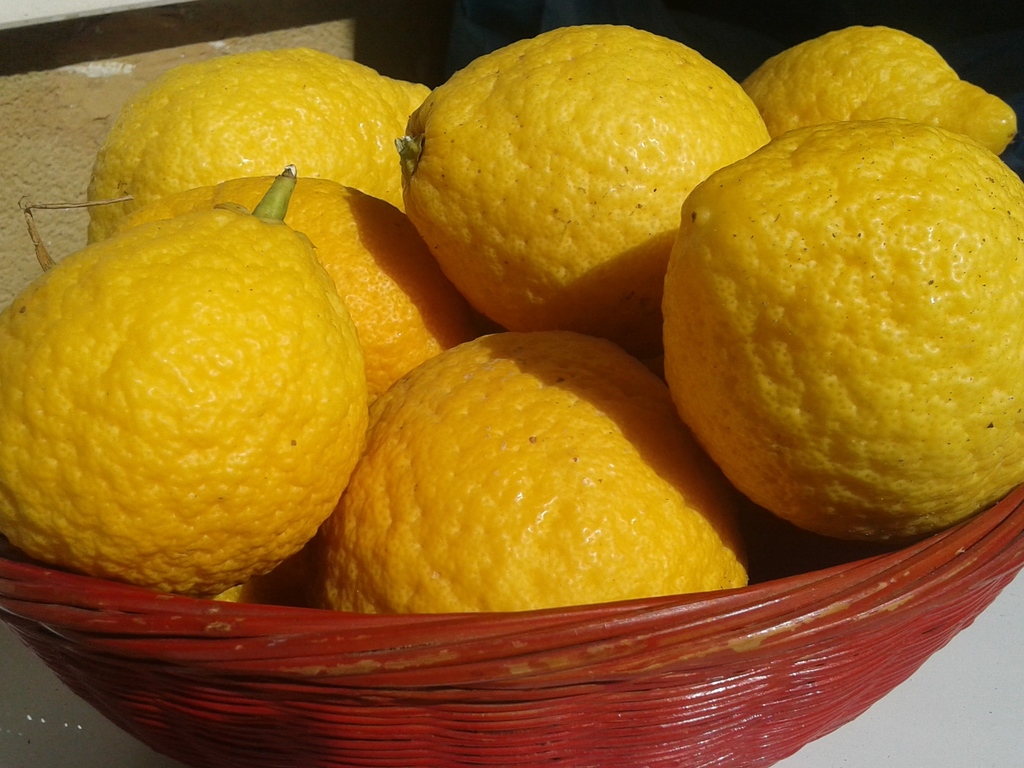 Perfetto al cedro