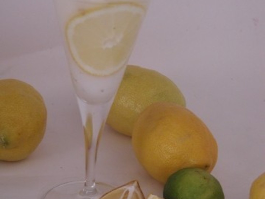 Sorbetto di limone e pompelmo con macedonia di agrumi