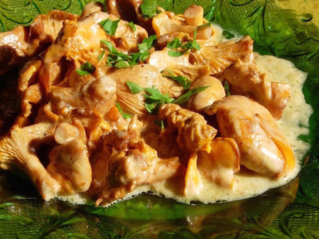 Finferli alla panna