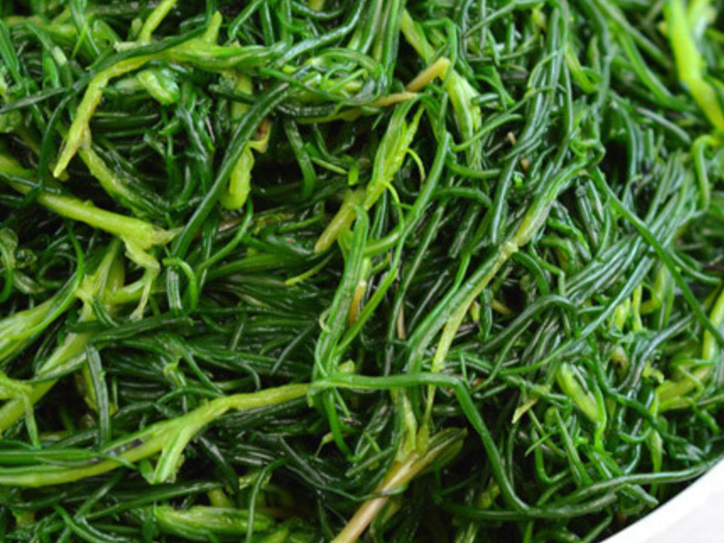 Insalata di barba di frate