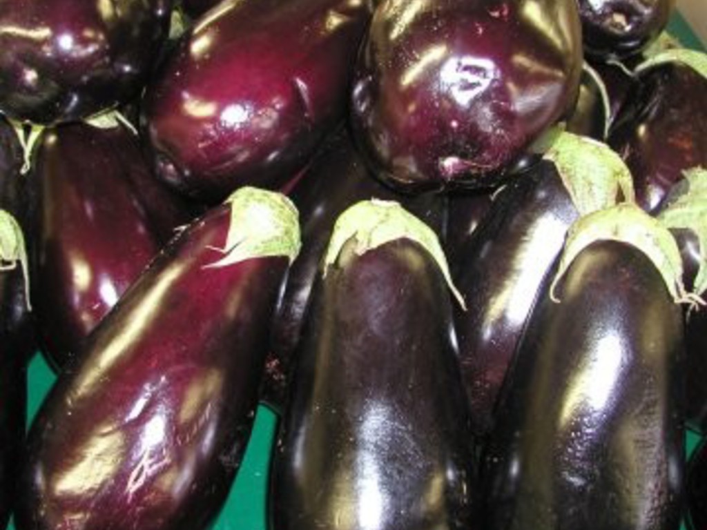 Melanzane azteche