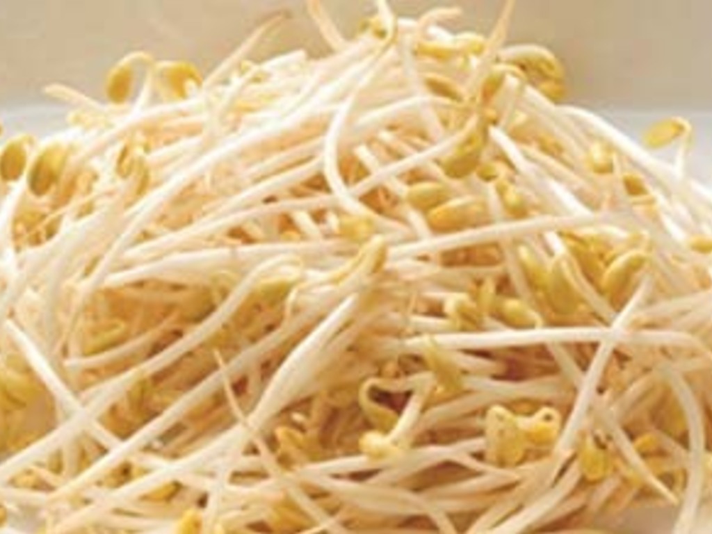 Insalata di cicorino e germogli di soia