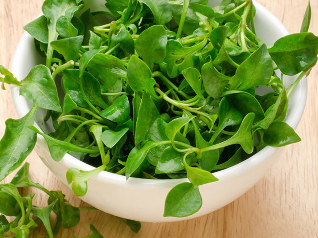 Insalata di crescione