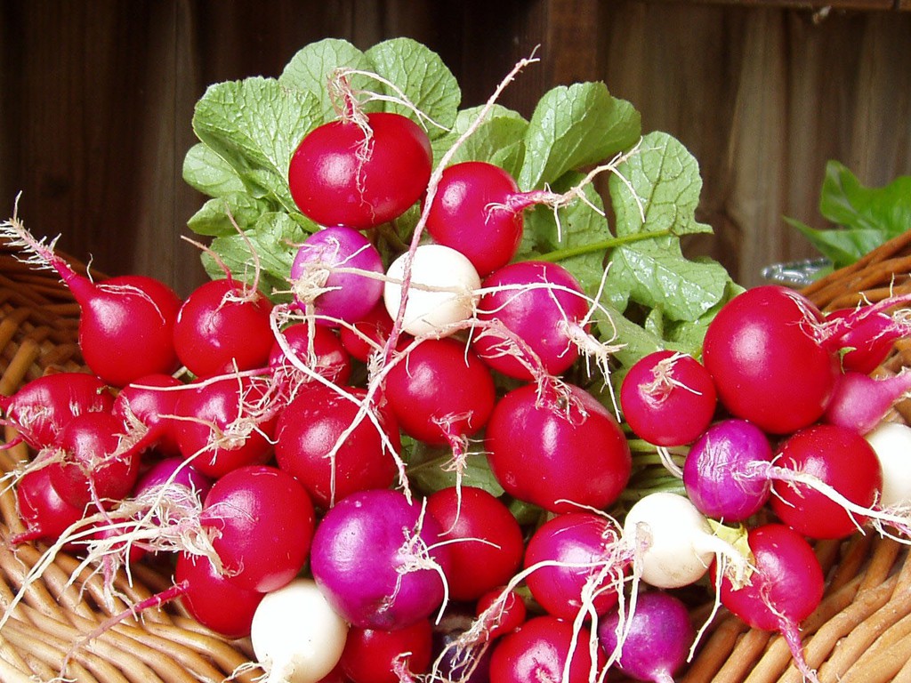 Insalata felice di Pasqua