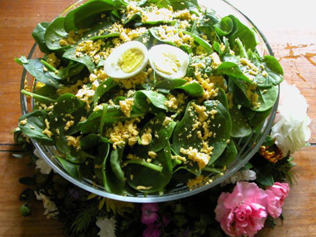 Insalatina di primavera