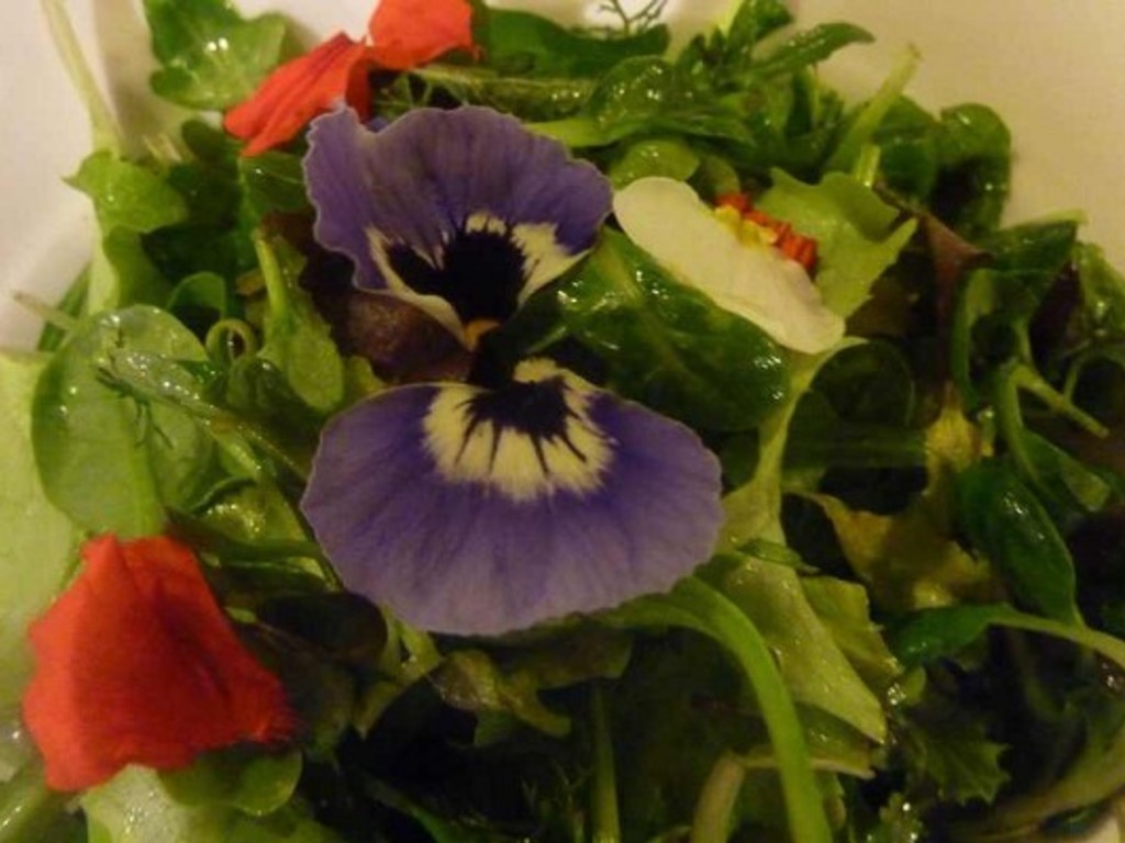 Insalatina mista  "Felice Anno Nuovo!"