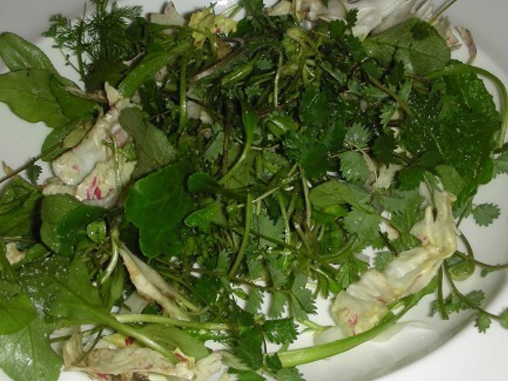 Insalatina verde