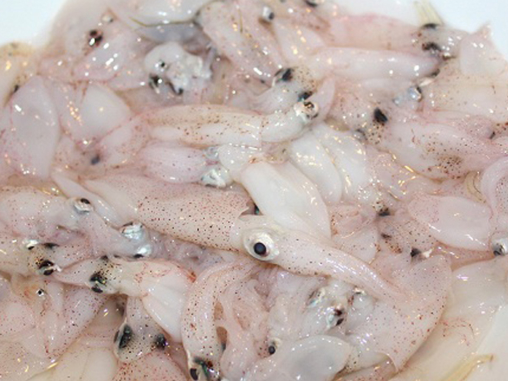 Calalmarini saltati con pomodorini e pinoli